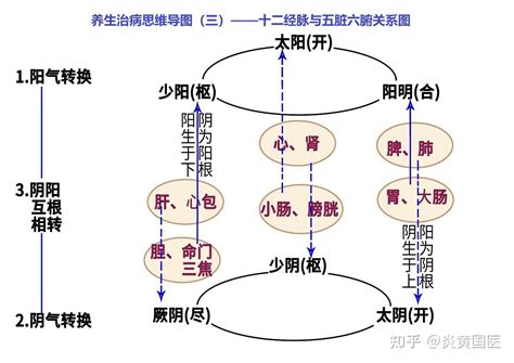 君火 相火